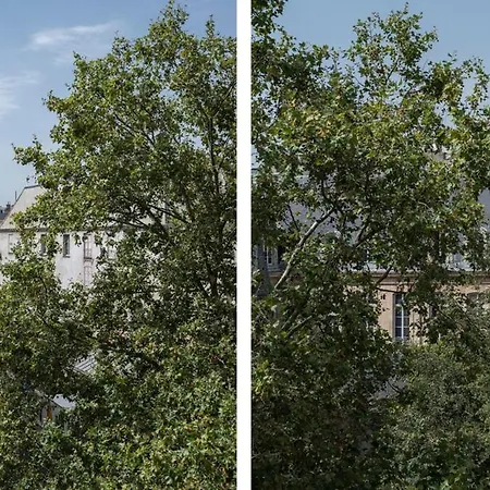 Spacieux Au Coeur Du Marais | 4 Personnes * Paris
